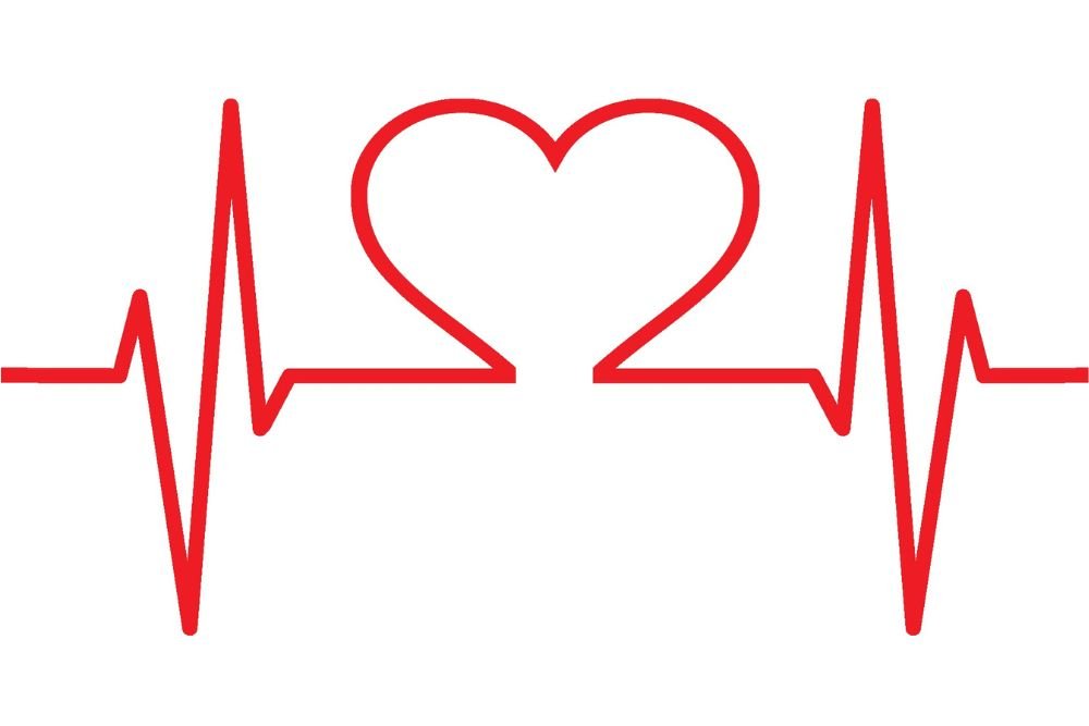 Heart of the Matter: The Deep Connection Between Your Gums and Your Cardiovascular System