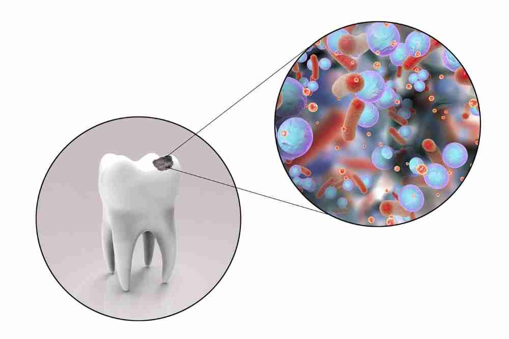 The Ecosystem in Your Mouth: Managing Your Oral Microbiome for Better Health
